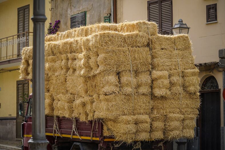 Campofelice Di Fitalia